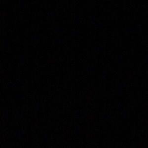 Meet your Posher, Cat